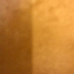 Meet your Posher, Darwin